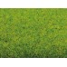 NO00010 Grass Mat “Spring Meadow”